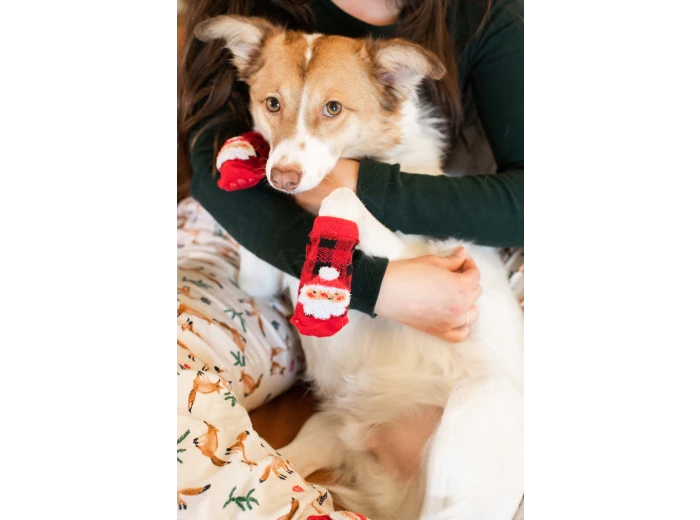 Human and Dog Matching Christmas Sock Set, Santa