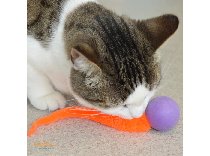 Wiggly Pong - Cat Toy Plastic Pong Ball Loose pongs - no packaging