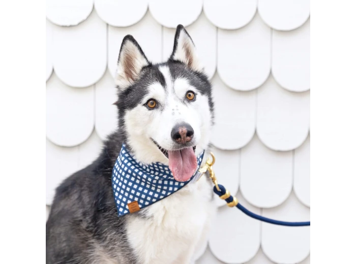 Ocean Marine Rope Dog Leash Petite 5 Feet