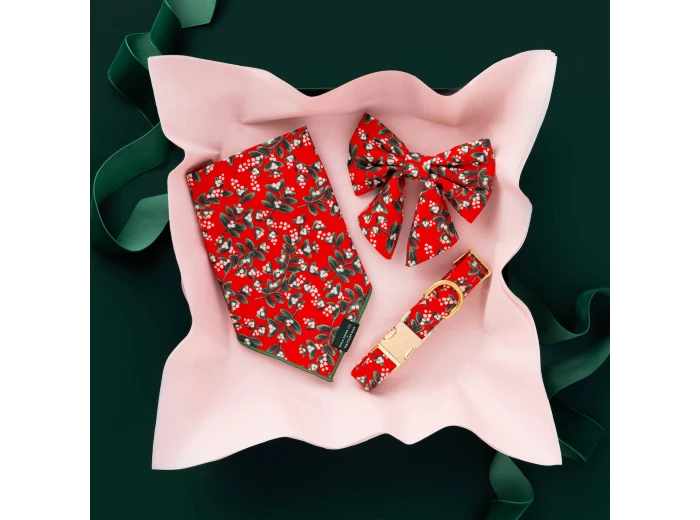 Rifle Paper Co. x TFD Mistletoe Lady Dog Bow Small