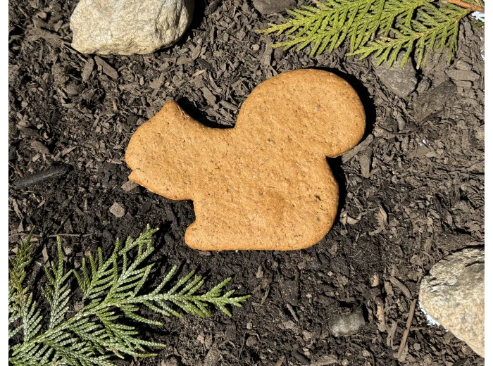 Display Crate REFILL, Cookies - Pumpkin Squash Squirrel
