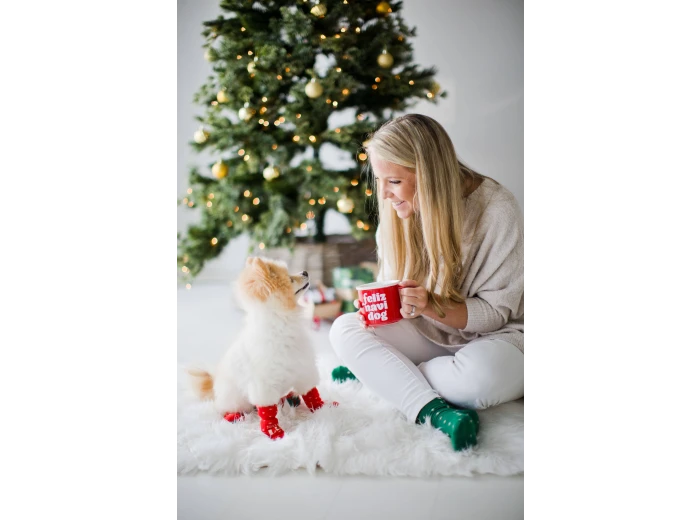 Nice & Naughty List Human & Dog Christmas Sock Set