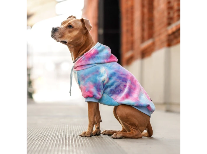 Velvet Dog Hoodie - Snow Cone XL