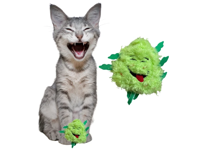 Bud Jr. the Weed Nug | Funny Cat Toy | Cool Plush Catnip Toy