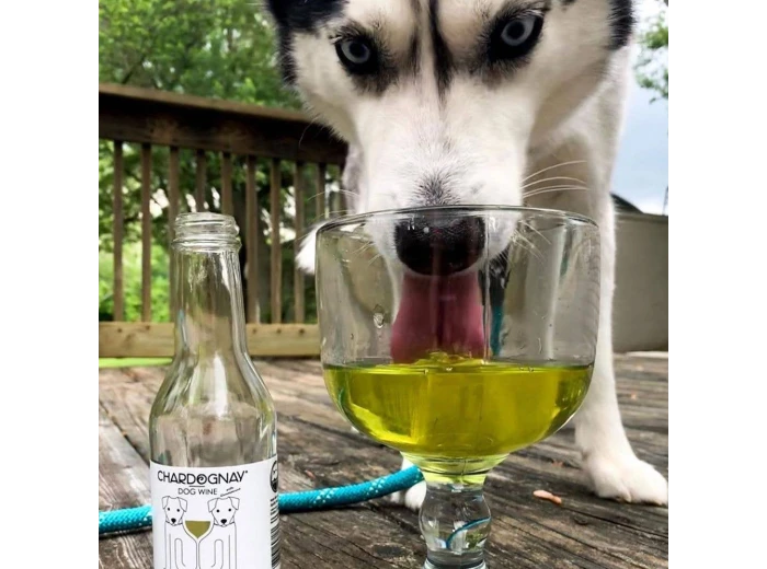 CharDOGnay Fish Oil + Bone Health Dog Wine Liquid Supplement