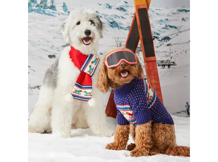 Gray Malin x TFD Hit the Slopes Holiday Dog Sweater XL
