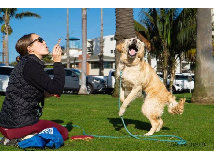 BubbleLick™ Pets Peanut Butter Swirl bubbles