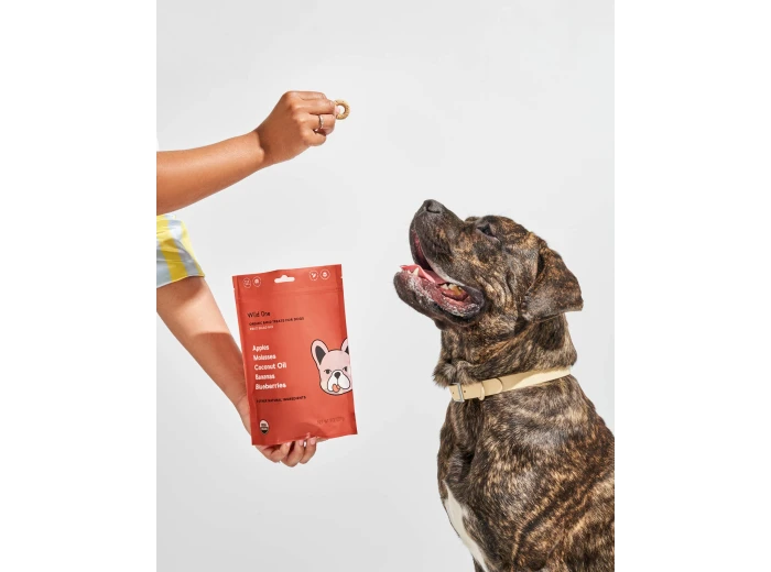 Organic Fruit Salad Vegan Baked Dog Treats