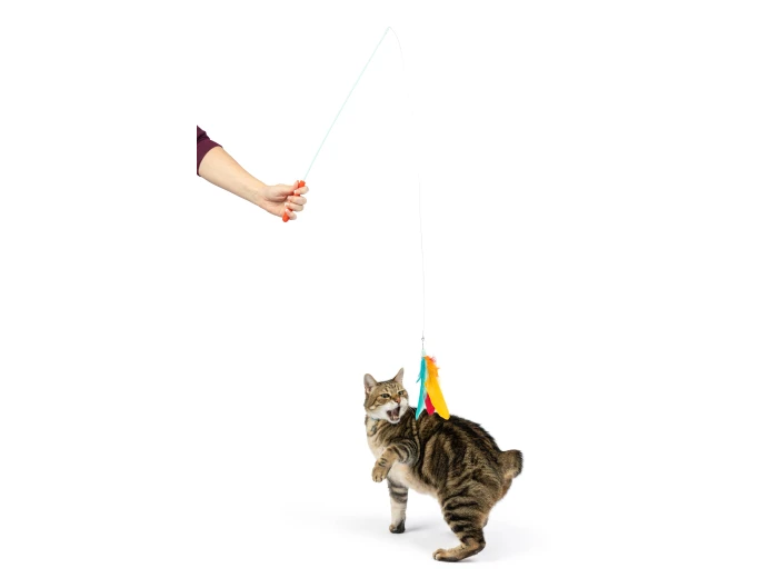 Teaser Treatos Snacks Wand For Cats