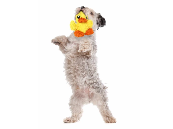 Mighty Jr Microfiber Ball Duck, Durable, Squeaky Dog Toy
