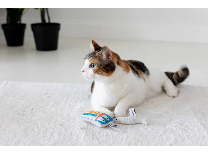 Sardines Cat Toys, Set of 2