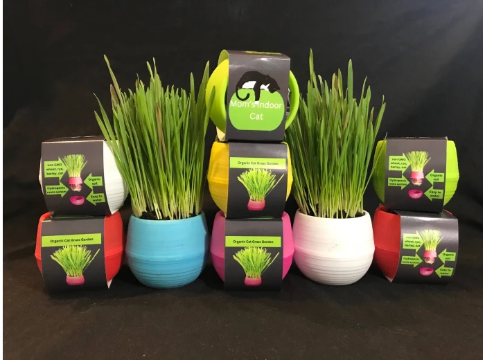 Cat Grass Ball Blue