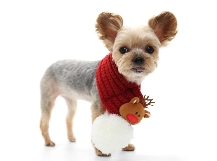 Reindeer Scarf M