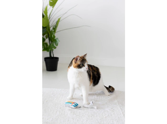 Sardines Cat Toys, Set of 2