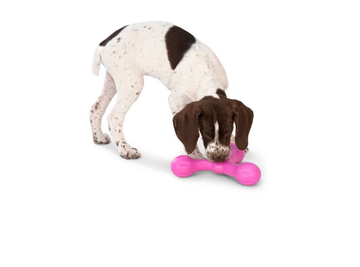Skamp® Dog Toy for Play, Tug, and Fetch Dandelion Yellow