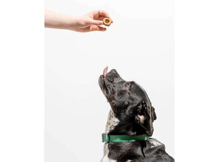Organic PB&J Vegan Baked Dog Treats