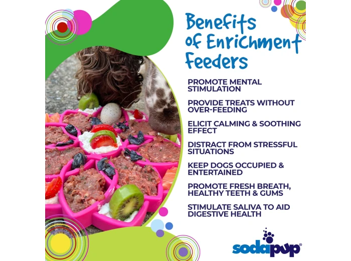 Mandala Design eTray Enrichment Tray for Dogs Green
