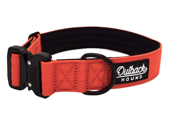 Burnt Orange Premium Dog Collar Medium