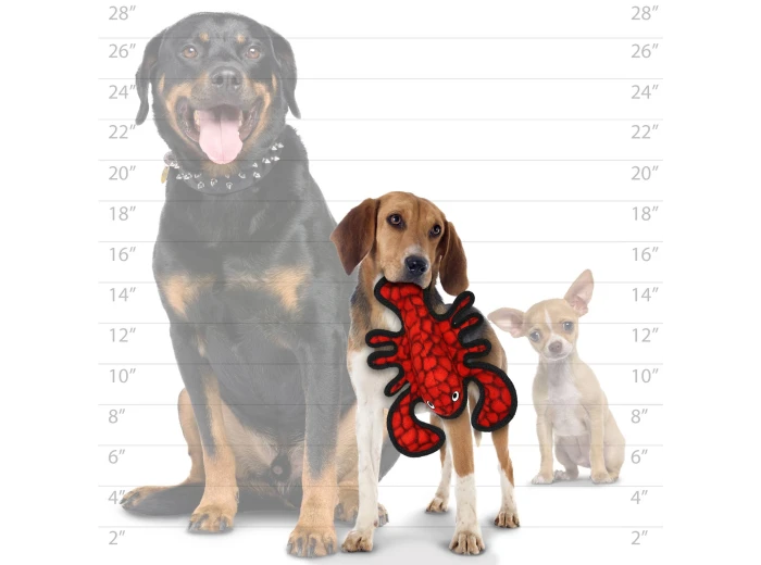 Tuffy Ocean JR Lobster, Durable, Tough, Squeaky Dog Toy