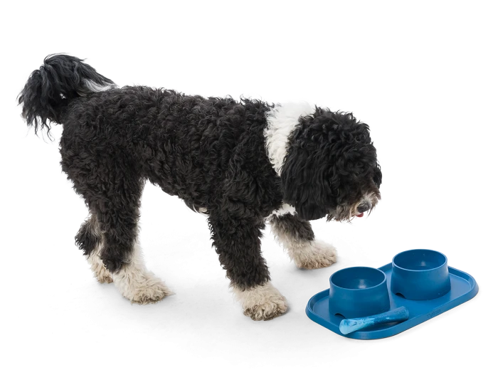 Drifty® Dog Toy for Chew, and Fetch Emerald