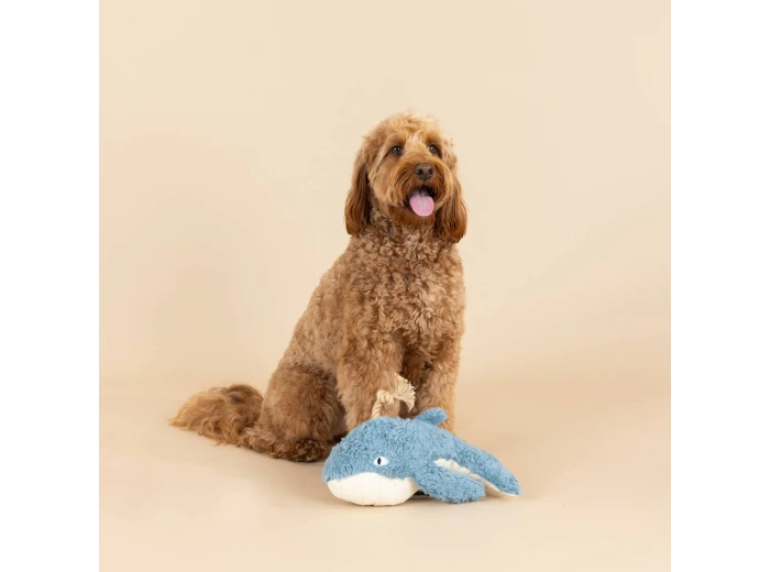WHOLESALE EARTH FRIENDLY DOG TOY OH WHALE