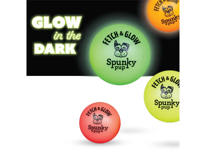 Fetch and Glow Ball Large