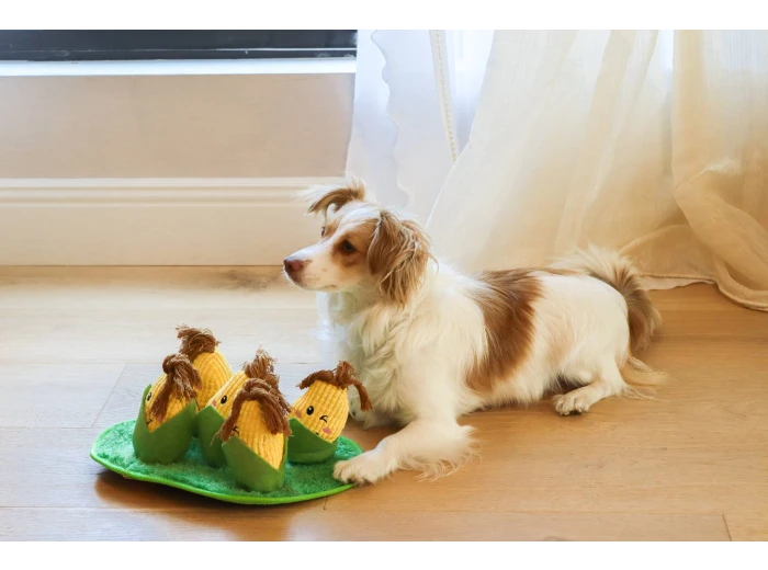 Corn Maze Snuffle Toy