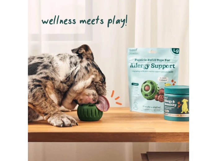 Allergy & Immunity Wellness Pops Extra Large