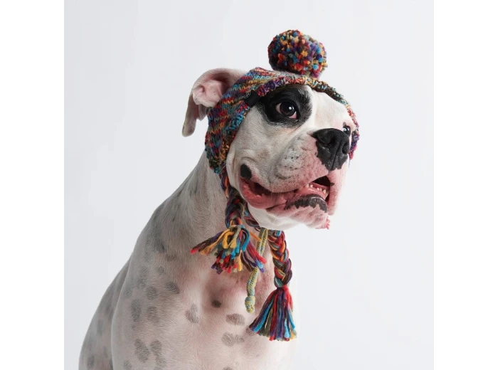 Knit Pom Pom Dog Beanie Hat - Kaleidoscope S (10-15lbs/4.5-7kg)