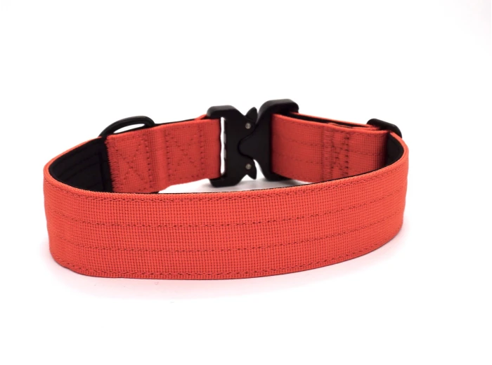Burnt Orange Premium Dog Collar Large