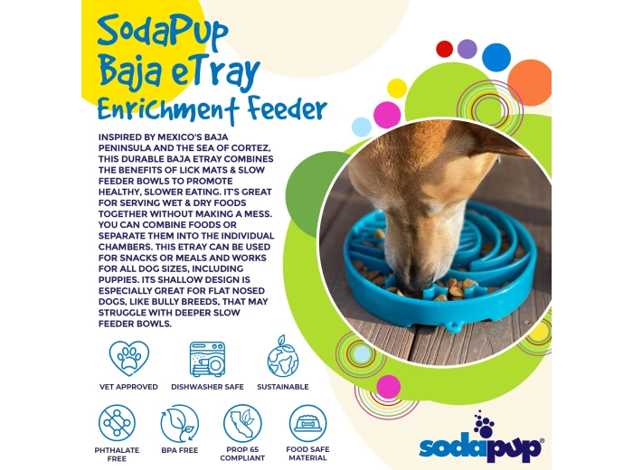 Baja Design eTray Shallow Slow Feeder Bowl for Dogs