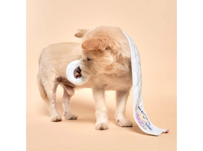 Toilet Paper Nosework Toy