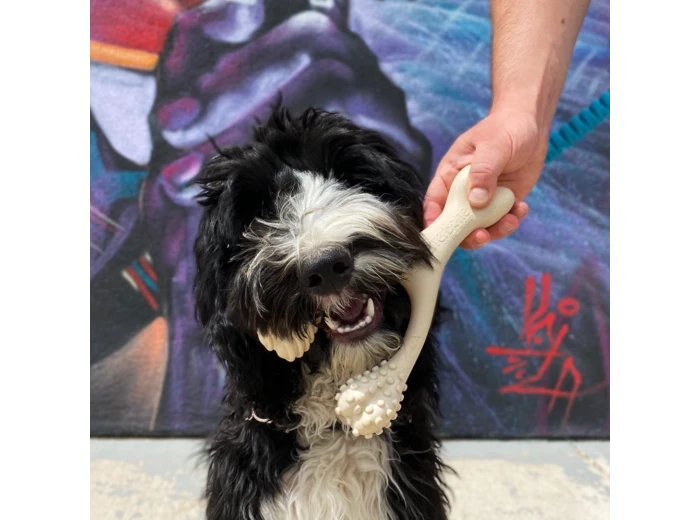 BetterBone SOFT- All-Natural, Safer on Teeth, Sustainable Beef
