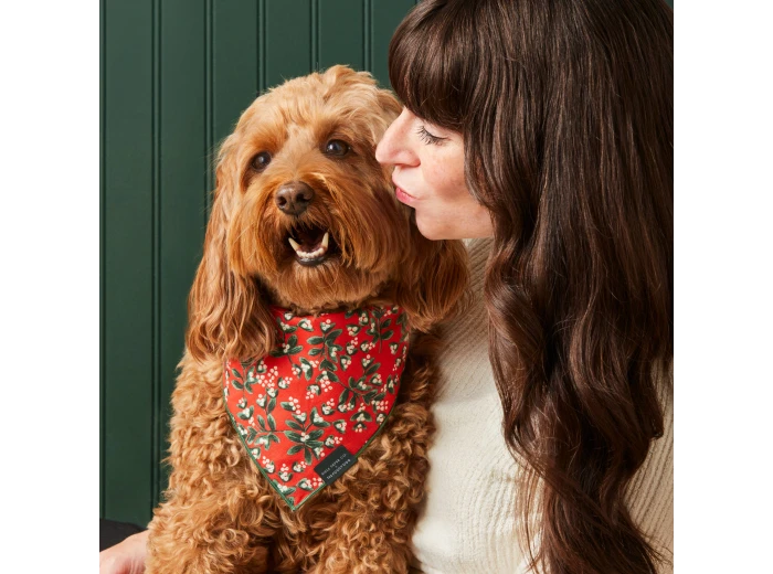 Rifle Paper Co. x TFD Mistletoe Dog Bandana Small