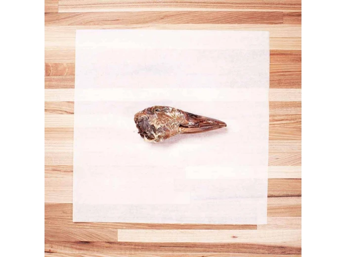 Bulk Chew: Duck Head