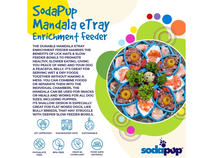 Mandala Design eTray Enrichment Tray for Dogs Blue