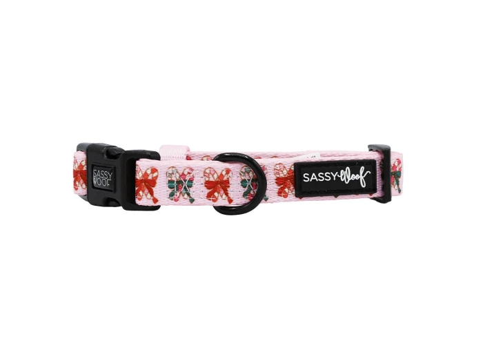Dog Collar - Candy Cane Coquette (Christmas) Small