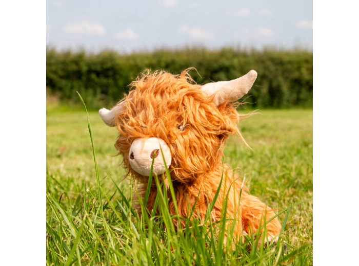Heritage Fergus Highland Cow
