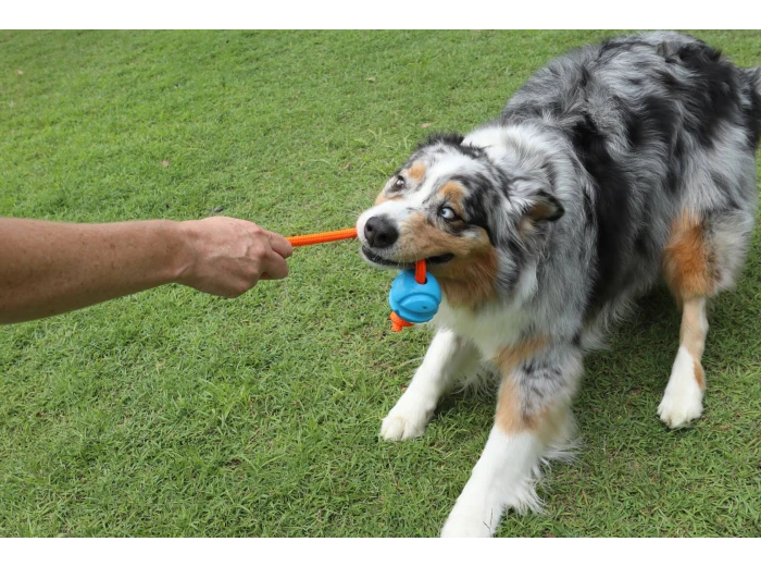 DOOG Fetchables - Fetch-N-Tug Ball & Rope Yellow