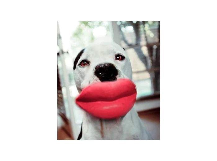 Humunga Lips Mini