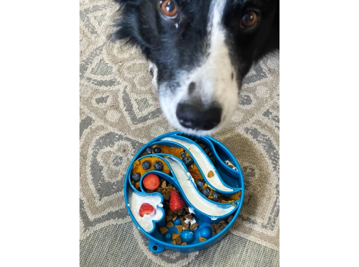 Wave Design eBowl Enrichment Slow Feeder Bowl for Dogs
