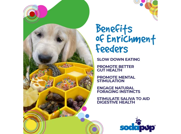 Honeycomb Design eBowl Enrichment Slow Feeder Bowl for Dogs Blue
