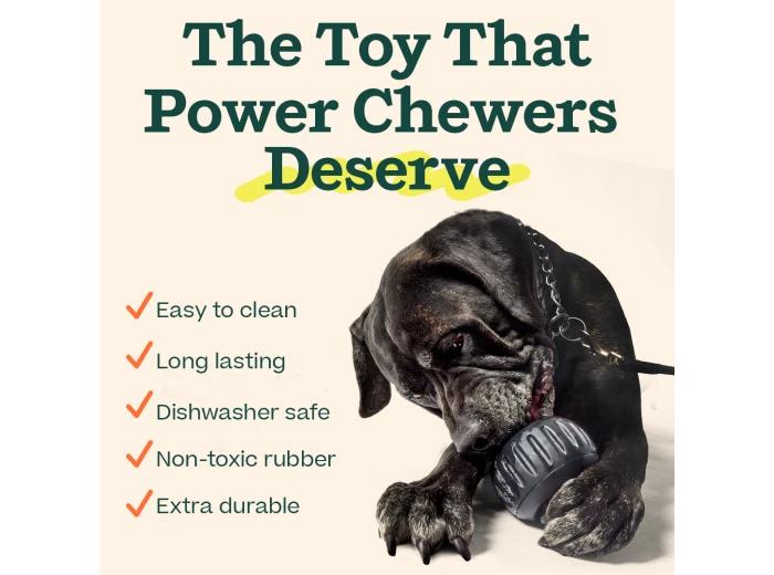 The 'Power Chewer' Pupsicle X-Large