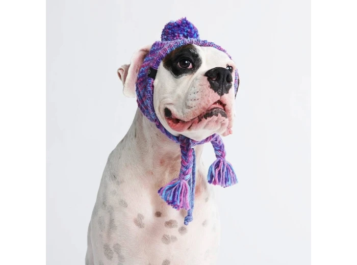 Knit Pom Pom Dog Beanie Hat - Purple & Lavender S (10-15lbs/4.5-7kg)
