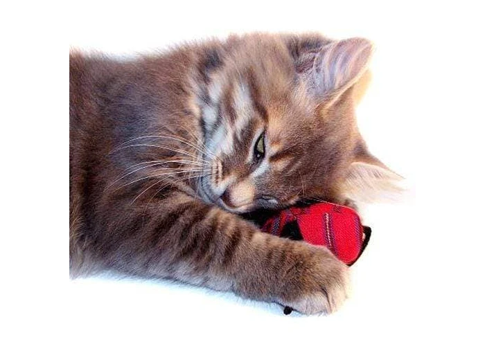 Organic Catnip Mice