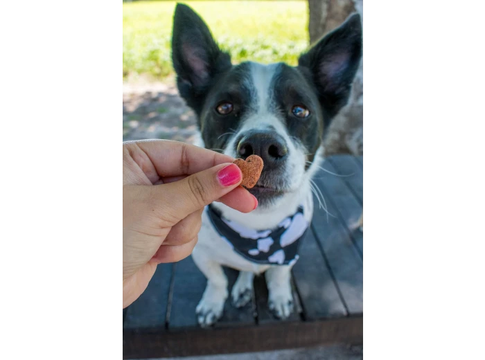 Love Bites - All Natural, Organic Training Treats for Dogs