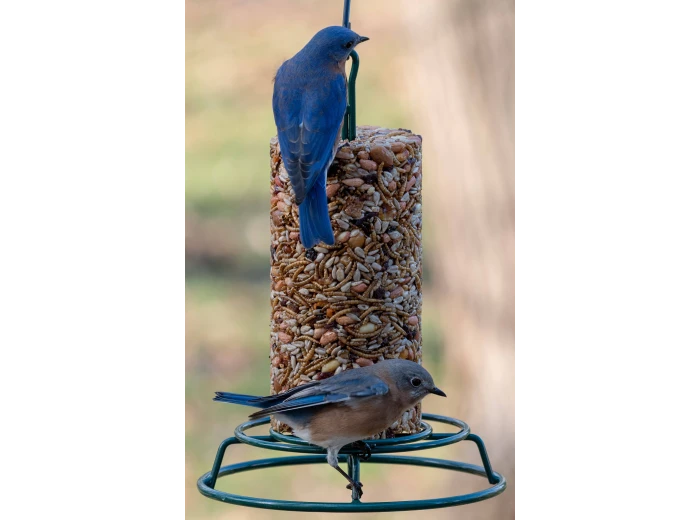 Bugs, Nuts, & Fruit Cylinder - Small
