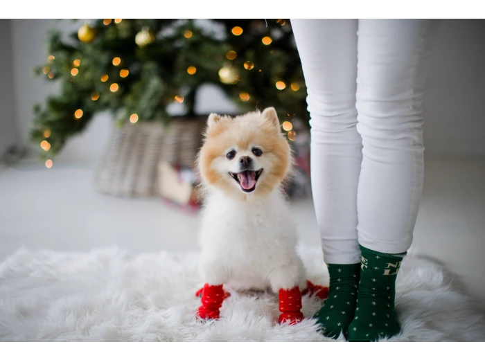 Nice & Naughty List Human & Dog Christmas Sock Set