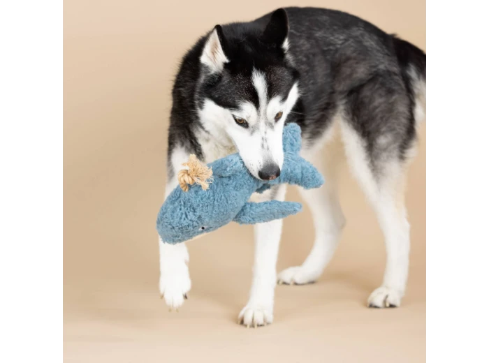 WHOLESALE EARTH FRIENDLY DOG TOY OH WHALE